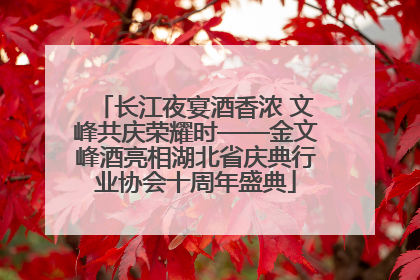 长江夜宴酒香浓 文峰共庆荣耀时——金文峰酒亮相湖北省庆典行业协会十周年盛典