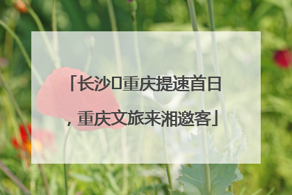 长沙⇌重庆提速首日，重庆文旅来湘邀客