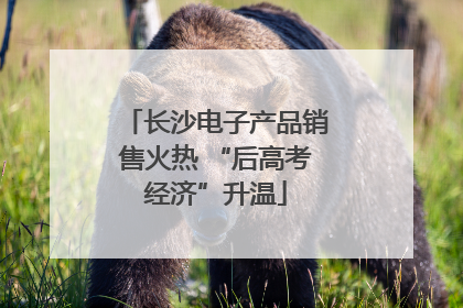 长沙电子产品销售火热 “后高考经济”升温