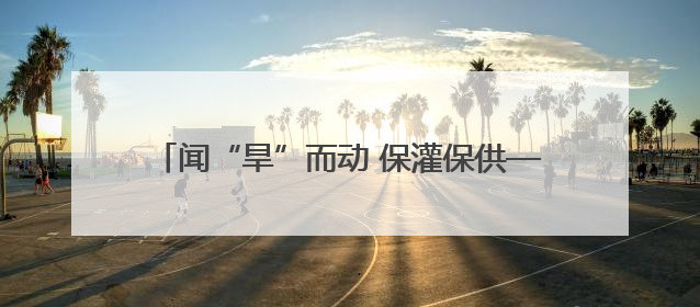 闻“旱”而动 保灌保供——陕西抗旱一线走访见闻
