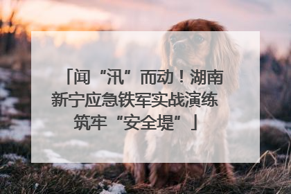 闻“汛”而动！湖南新宁应急铁军实战演练筑牢“安全堤”