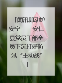 闻汛即动护安宁——安仁县党员干部全员下沉打好防汛“主动战”