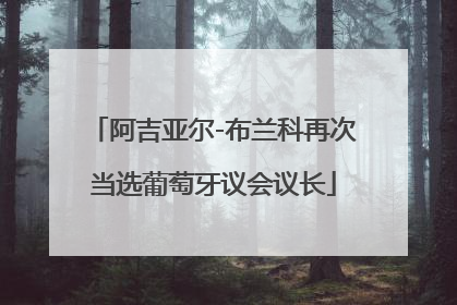 阿吉亚尔-布兰科再次当选葡萄牙议会议长