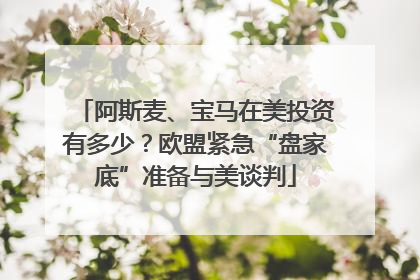 阿斯麦、宝马在美投资有多少？欧盟紧急“盘家底”准备与美谈判