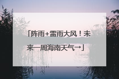 阵雨+雷雨大风！未来一周海南天气→