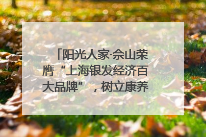 阳光人家·佘山荣膺“上海银发经济百大品牌”，树立康养行业新标杆