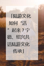 陆游文化如何“活 ”起来？宁德、绍兴共话陆游文化传承