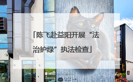 陈飞赴益阳开展“法治护绿”执法检查