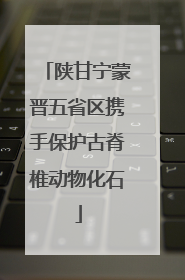 陕甘宁蒙晋五省区携手保护古脊椎动物化石