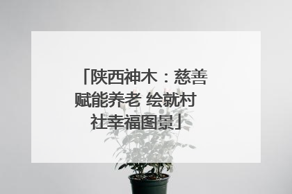 陕西神木：慈善赋能养老 绘就村社幸福图景