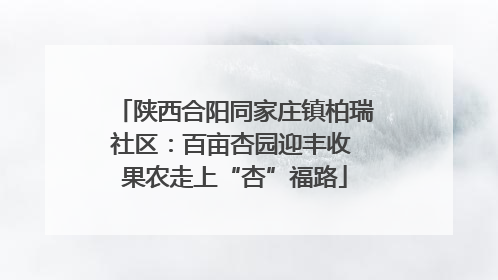 陕西合阳同家庄镇柏瑞社区：百亩杏园迎丰收 果农走上“杏”福路