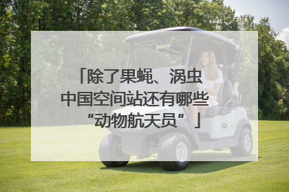 除了果蝇、涡虫 中国空间站还有哪些“动物航天员”