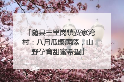 随县三里岗镇贾家湾村：八月瓜缀满藤，山野孕育甜蜜希望