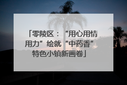 零陵区：“用心用情用力”绘就“中药香”特色小镇新画卷