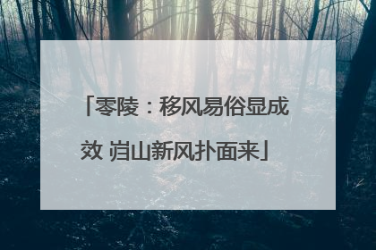 零陵：移风易俗显成效 岿山新风扑面来