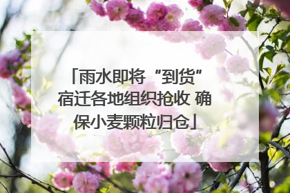 雨水即将“到货” 宿迁各地组织抢收 确保小麦颗粒归仓