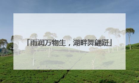 雨润万物生，湖畔舞翩跹