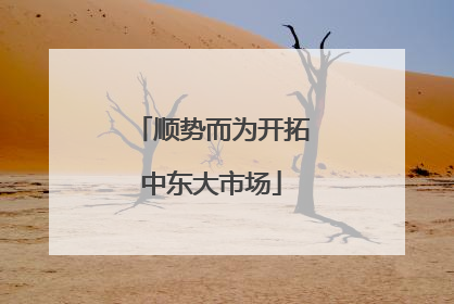 顺势而为开拓中东大市场