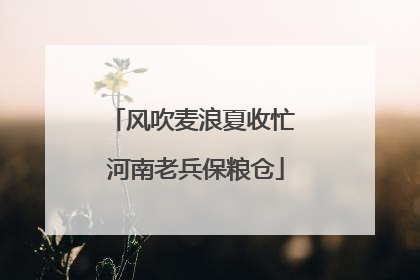 风吹麦浪夏收忙 河南老兵保粮仓