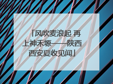 风吹麦浪起 再上神禾塬——陕西西安夏收见闻