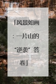 风景如画：一片山的“逆袭”答卷