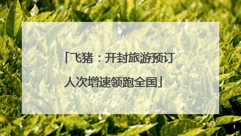 飞猪：开封旅游预订人次增速领跑全国