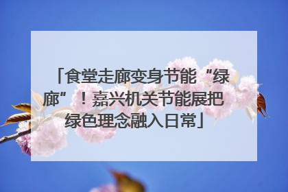 食堂走廊变身节能“绿廊”！嘉兴机关节能展把绿色理念融入日常