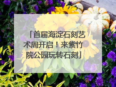 首届海淀石刻艺术周开启！来紫竹院公园玩转石刻