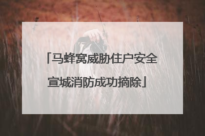 马蜂窝威胁住户安全 宣城消防成功摘除