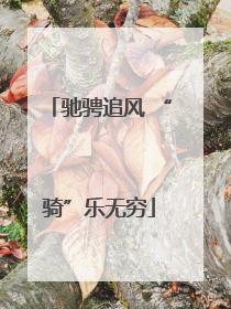 驰骋追风 “骑”乐无穷