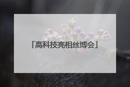 高科技亮相丝博会