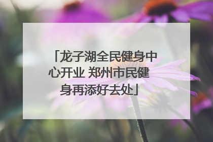 龙子湖全民健身中心开业 郑州市民健身再添好去处