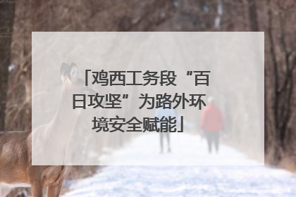 鸡西工务段“百日攻坚”为路外环境安全赋能