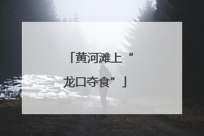 黄河滩上“龙口夺食”