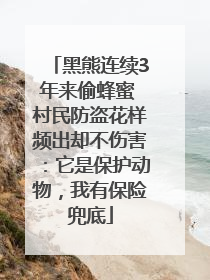 黑熊连续3年来偷蜂蜜 村民防盗花样频出却不伤害：它是保护动物，我有保险兜底