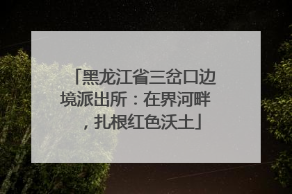 黑龙江省三岔口边境派出所：在界河畔，扎根红色沃土