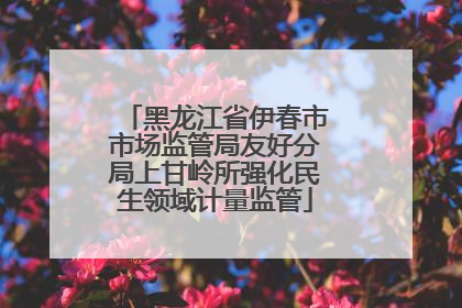 黑龙江省伊春市市场监管局友好分局上甘岭所强化民生领域计量监管