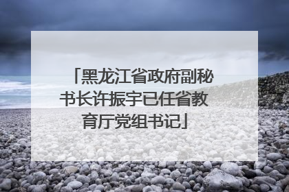 黑龙江省政府副秘书长许振宇已任省教育厅党组书记