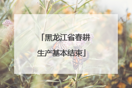 黑龙江省春耕生产基本结束