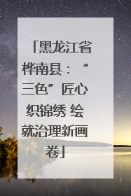 黑龙江省桦南县：“三色”匠心织锦绣 绘就治理新画卷