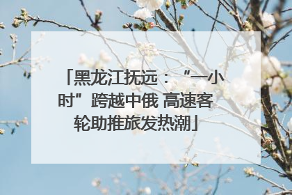 黑龙江抚远：“一小时”跨越中俄 高速客轮助推旅发热潮