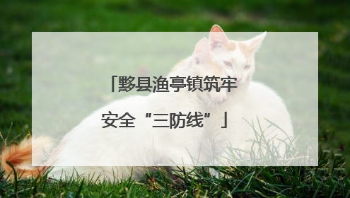 黟县渔亭镇筑牢安全“三防线”