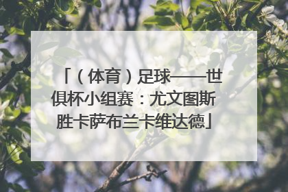 （体育）足球——世俱杯小组赛：尤文图斯胜卡萨布兰卡维达德