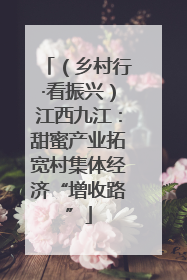 （乡村行·看振兴）江西九江：甜蜜产业拓宽村集体经济“增收路”