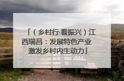 （乡村行·看振兴）江西瑞昌：发展特色产业 激发乡村内生动力