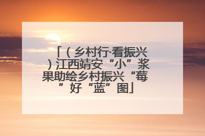 （乡村行·看振兴）江西靖安“小”浆果助绘乡村振兴“莓”好“蓝”图