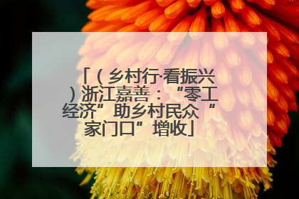 （乡村行·看振兴）浙江嘉善：“零工经济”助乡村民众“家门口”增收