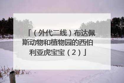 （外代二线）布达佩斯动物和植物园的西伯利亚虎宝宝（2）