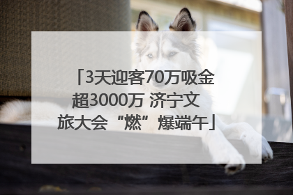 3天迎客70万吸金超3000万 济宁文旅大会“燃”爆端午