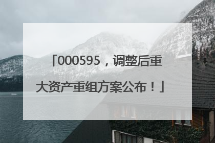 000595，调整后重大资产重组方案公布！